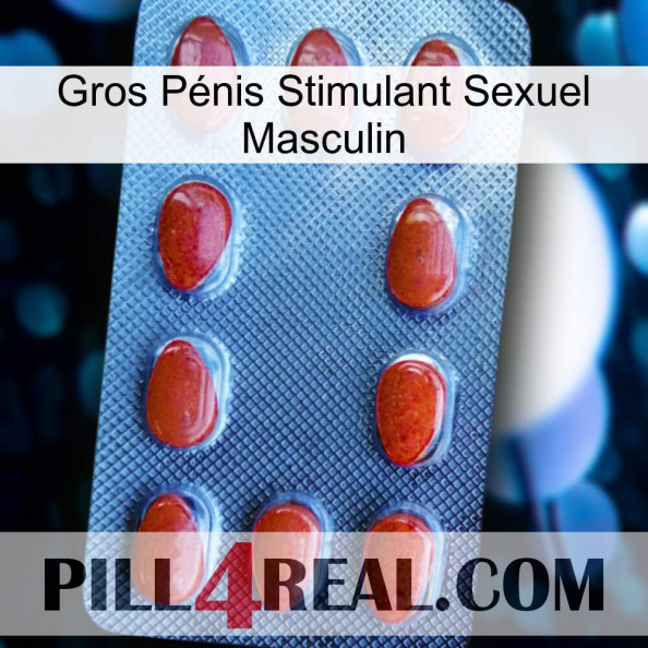 Gros Pénis Stimulant Sexuel Masculin 06